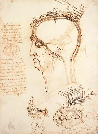 Zeichnung eines Reiterdenkmals Leonardo da Vinci